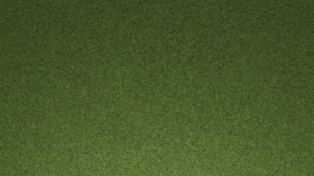 Gras