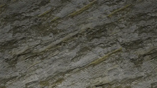 Stein